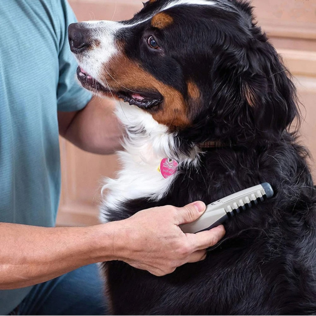 Pet Grooming Tool for Cats and Dogs | Luxenique