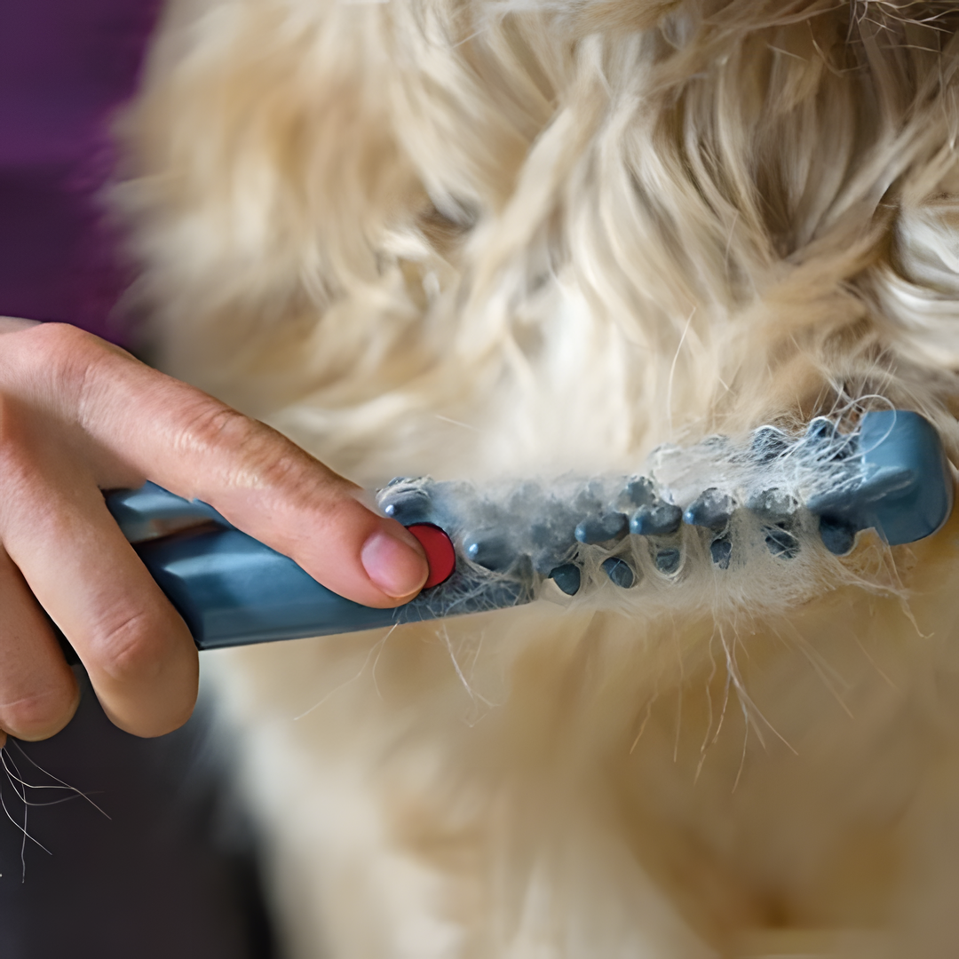 Pet Grooming Tool for Cats and Dogs | Luxenique