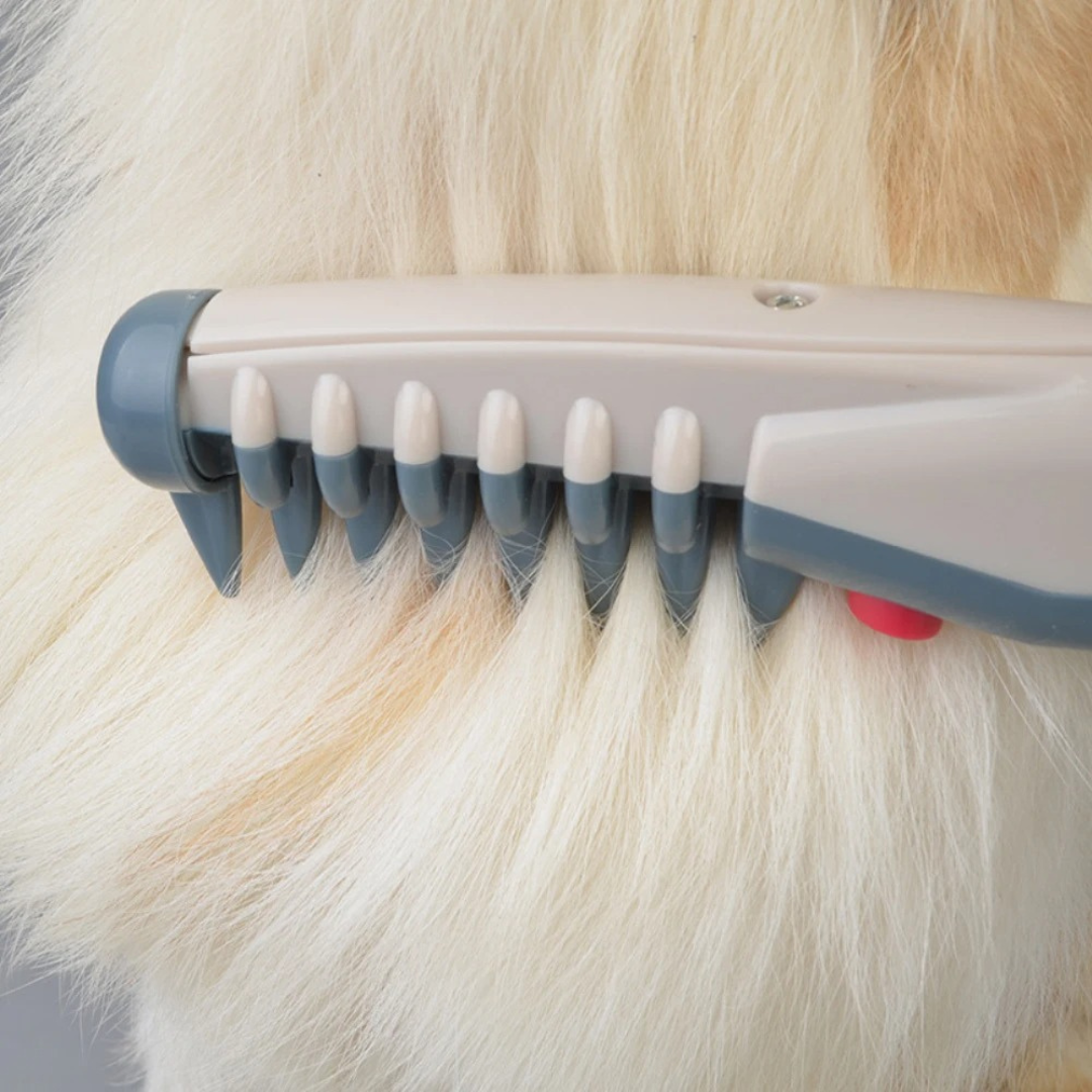 Pet Grooming Tool for Cats and Dogs | Luxenique