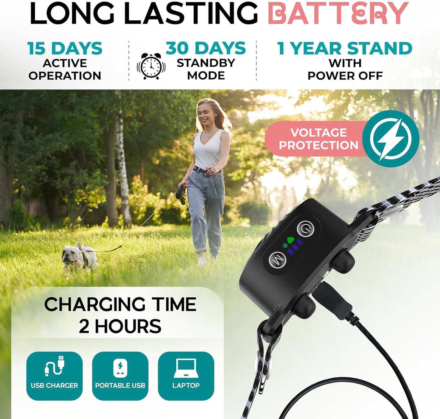 Anti-Bark Collar for Small Dogs | Luxenique
