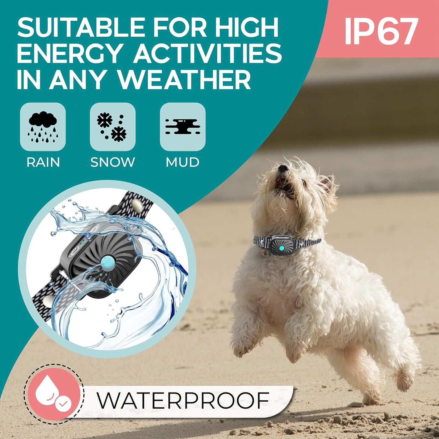Anti-Bark Collar for Small Dogs | Luxenique