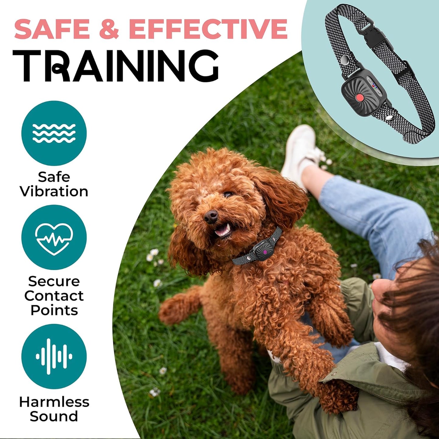 Anti-Bark Collar for Small Dogs | Luxenique