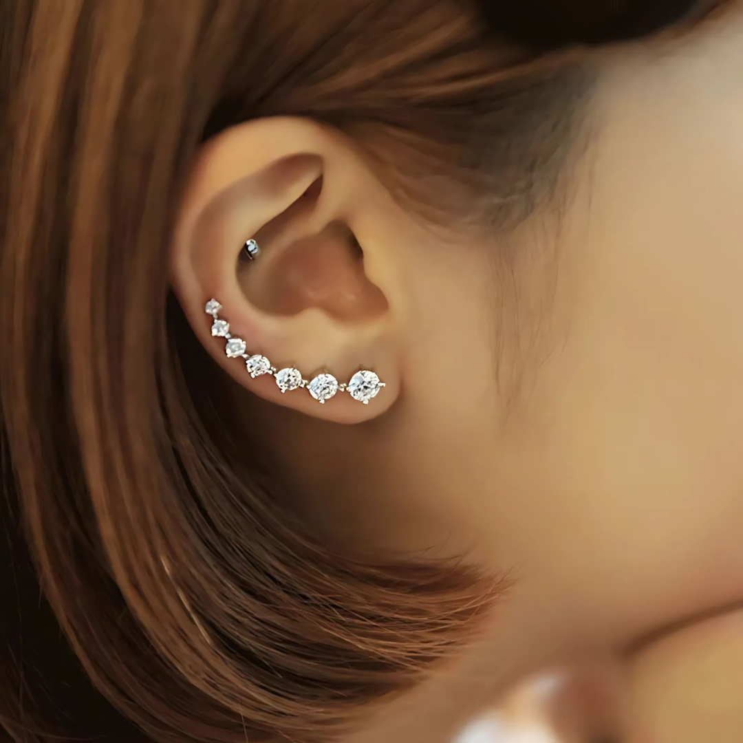 Sterling Silver Zircon Stud Earrings | Luxenique