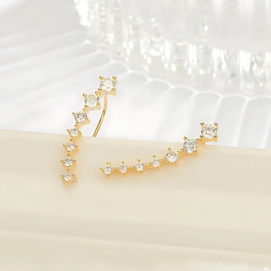 Sterling Silver Zircon Stud Earrings | Luxenique