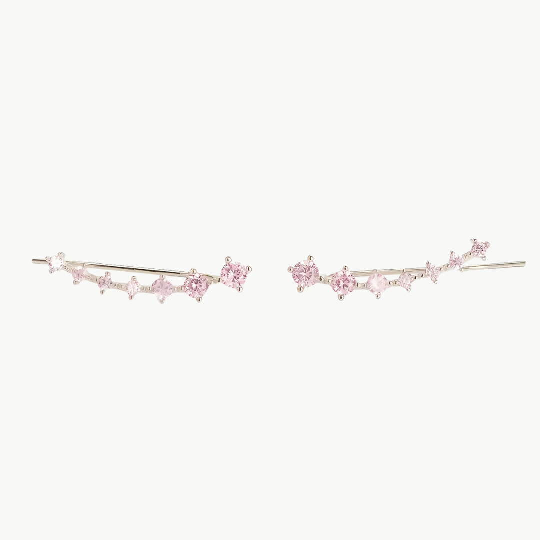 Sterling Silver Zircon Stud Earrings | Luxenique
