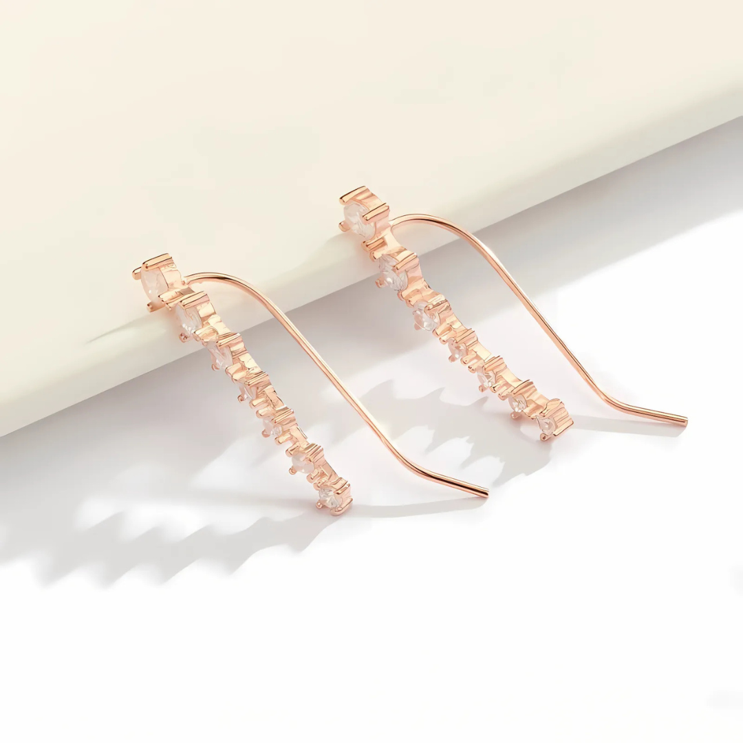 Sterling Silver Zircon Stud Earrings | Luxenique