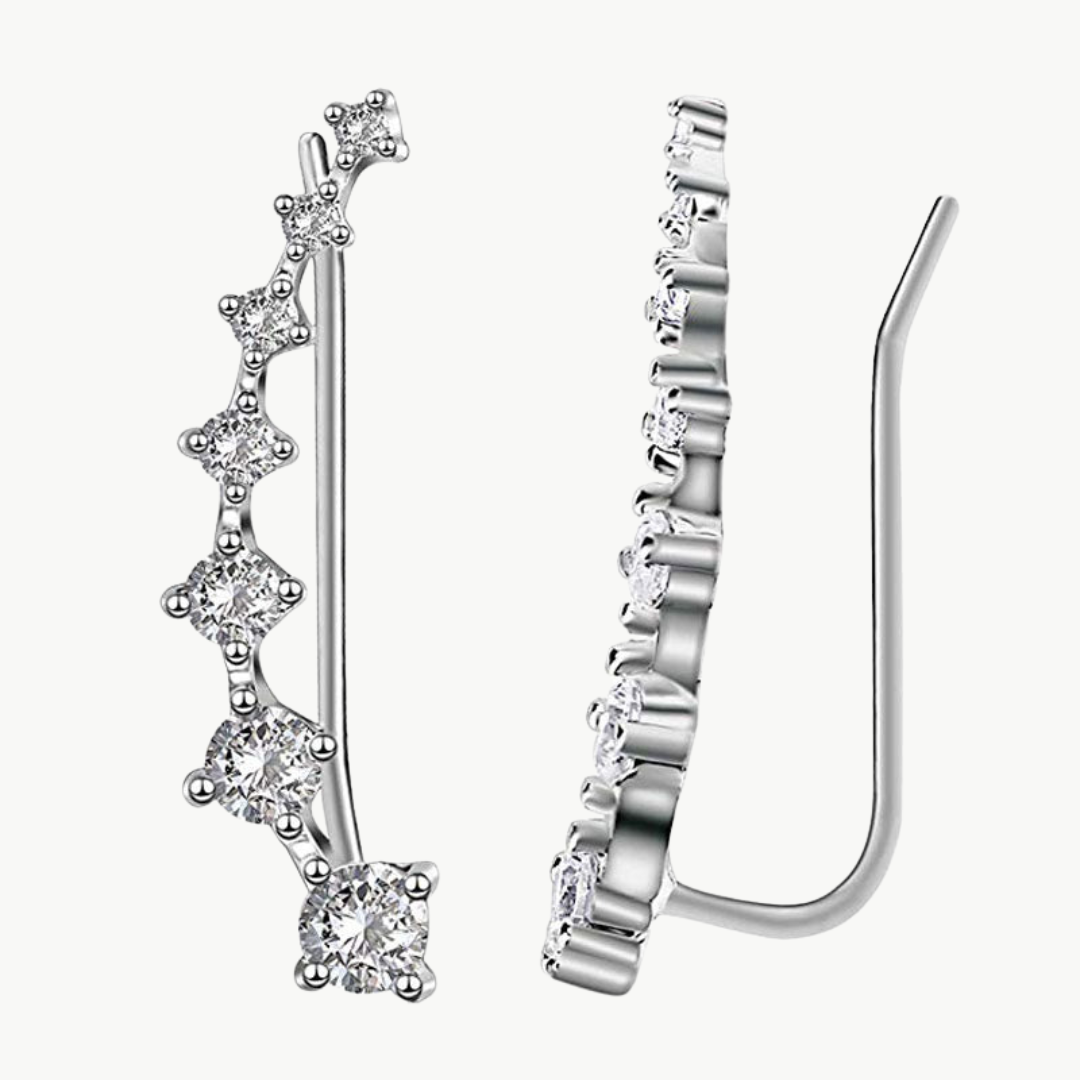 Sterling Silver Zircon Stud Earrings | Luxenique