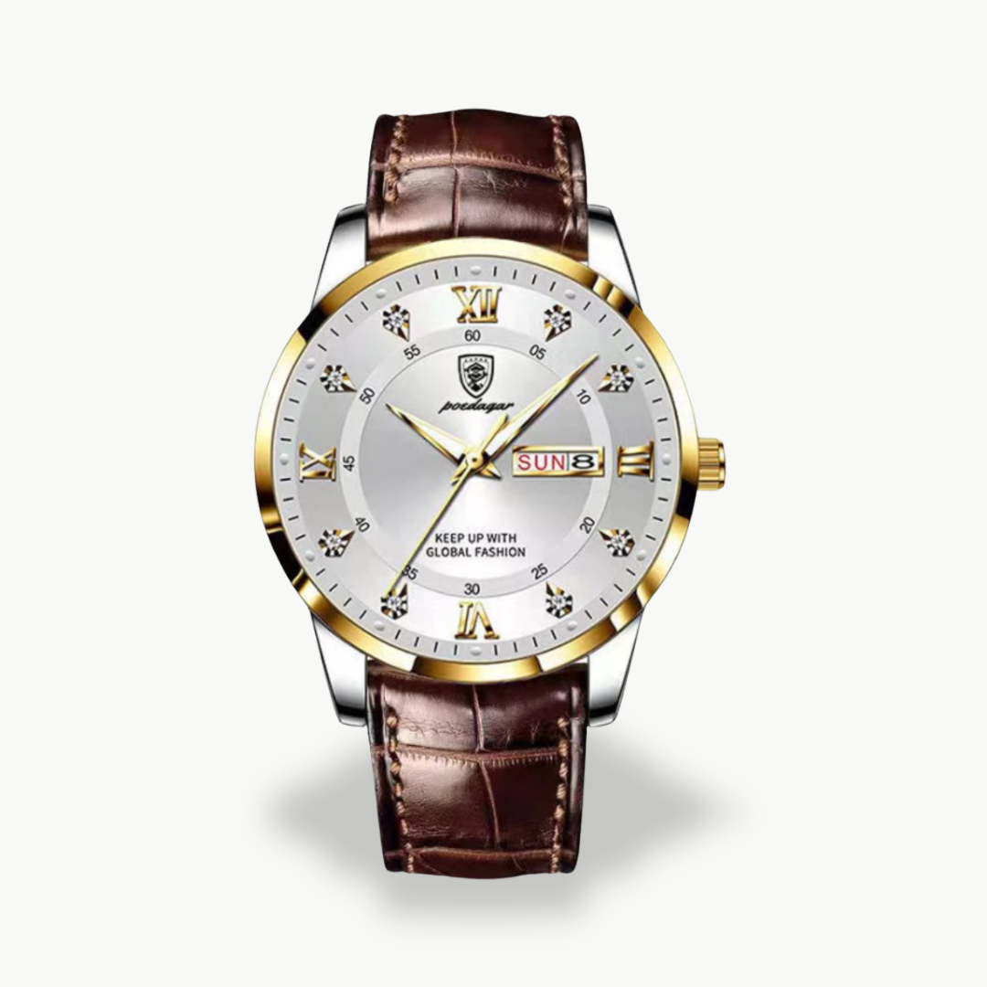 Luxury Men's Chronograph Watch | Luxenique