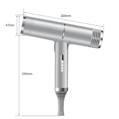 Luxenique Ultra-Light Professional Hair Dryer | Luxenique