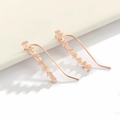 Sterling Silver Zircon Stud Earrings | Luxenique