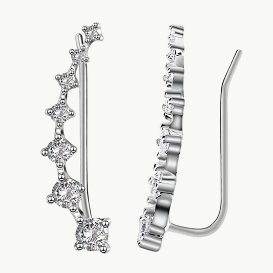 Sterling Silver Zircon Stud Earrings | Luxenique